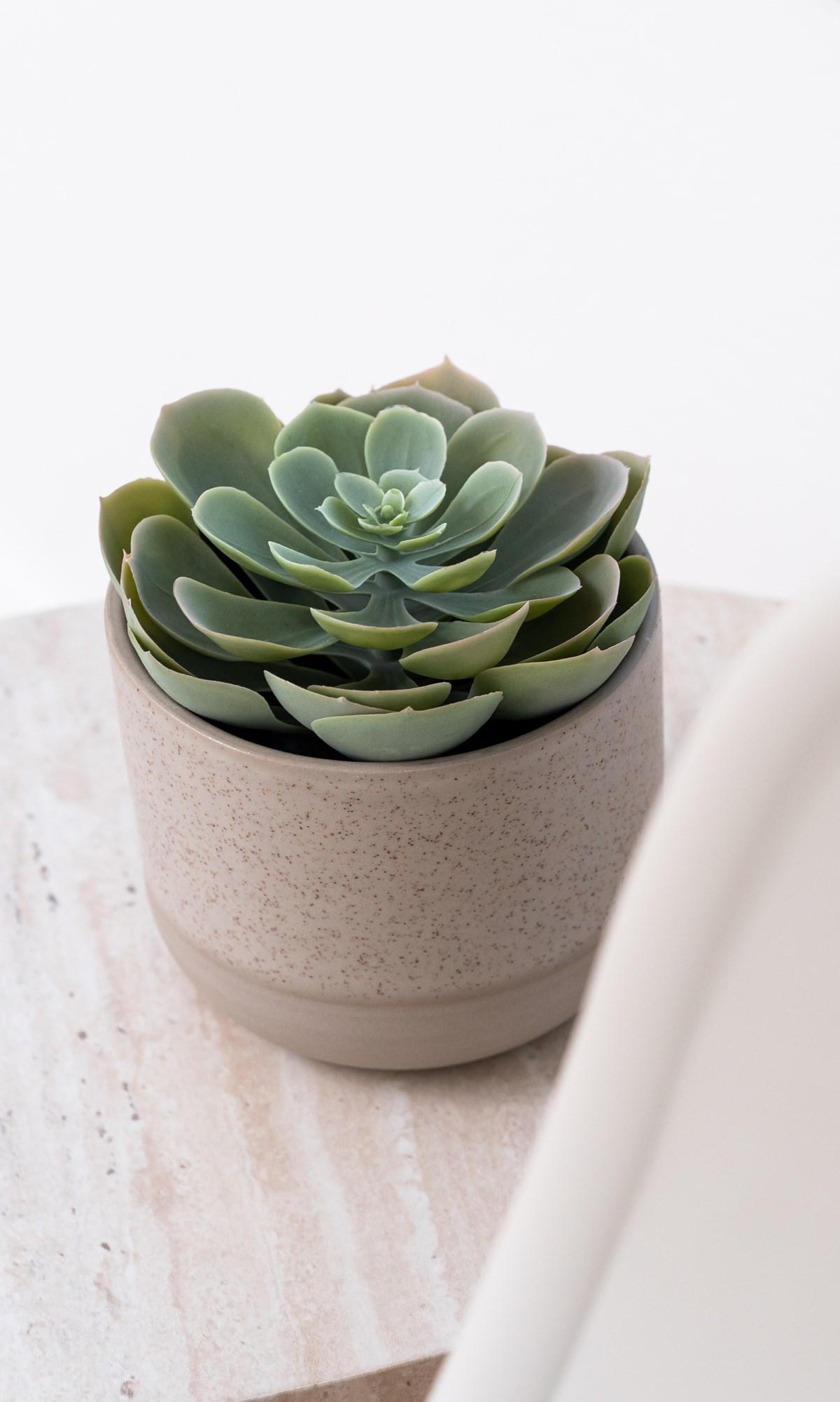 Zahnarzt Morocutti St. Ruprecht